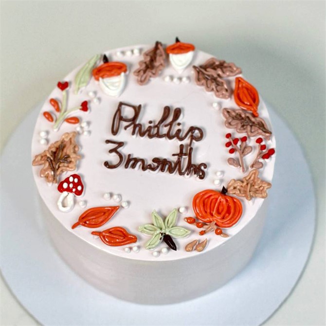 3 МЕСЯЦА 10222