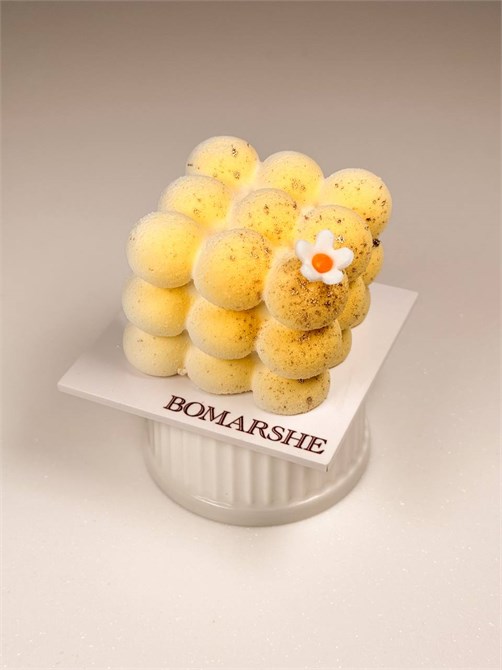 Пирожное муссовое Молекула 10280