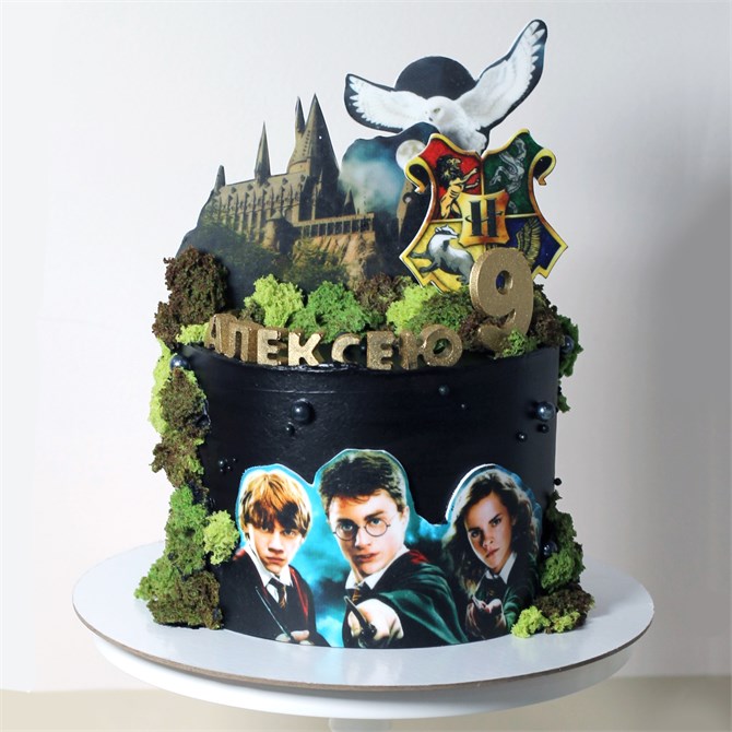 ВСЕЛЕННАЯ ГАРРИ ПОТТЕРА 10145