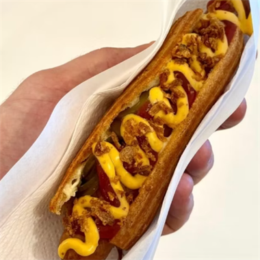 {{photo.Alt || photo.Description || 'Хотлер'}}