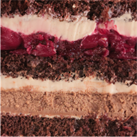 {{photo.Alt || photo.Description || 'PISTACHIO RASPBERRY'}}
